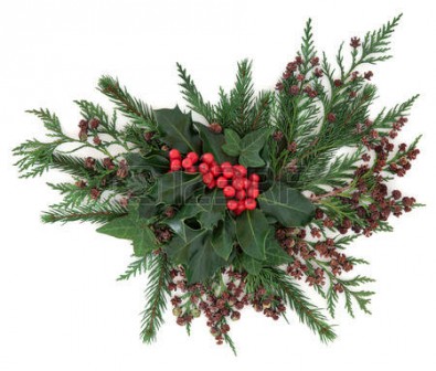 44527057-no-l-et-la-flore-de-l-hiver-avec-le-houx-et-de-baies-rouges-de-lierre-de-sapin-et-de-c-dre-de-cypr-s.jpg