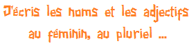 Bouton_j_ecris_les_noms_et_les_adjectifs_au_feminin__au_pluriel3.png