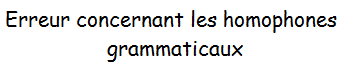 Code_erreur_concernant_les_homophones.png