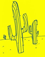 cactus, fév. 2013