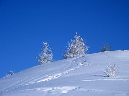 paysage_de_neige.jpg, mar. 2010