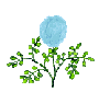 Fleurs-13.gif