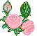 fleurs-roses-13.gif, mar. 2010