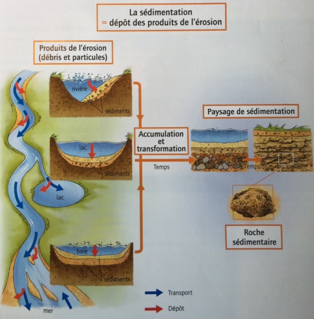 sédimentation sédimentation