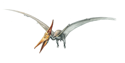 ptérosaure