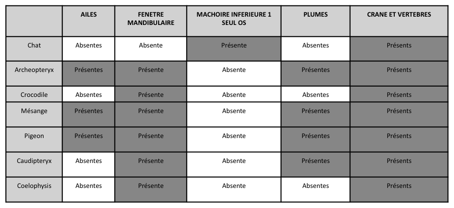 tableau caract