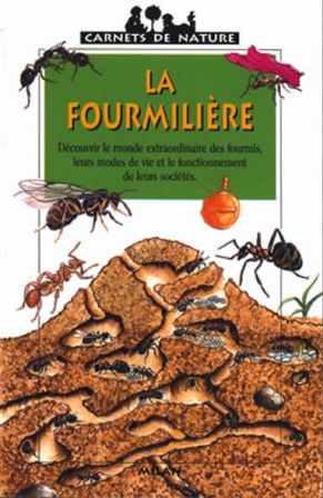 C3_la_fourmilliere.jpg, oct. 2009