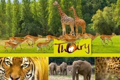 zoo-thoiry.jpg