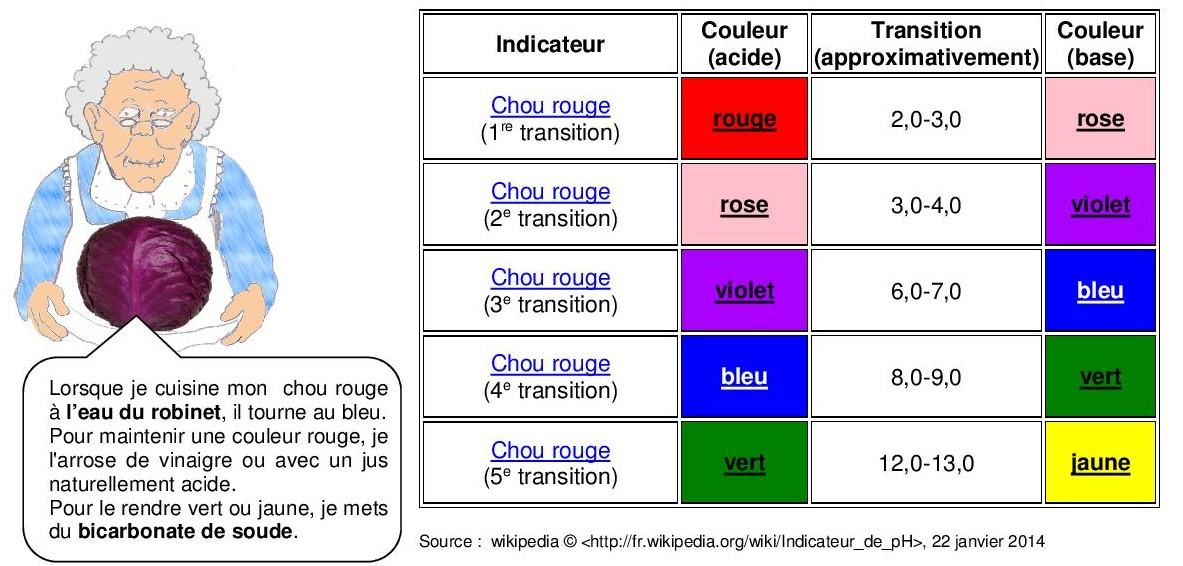 document_chou_rouge.jpg