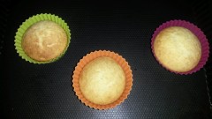 vanilla_cupcakes_for_lemond_curd_cupcakes.jpg