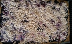 berry_streusel_bar_ready_for_the_oven.jpg