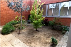 jardin_japonais__1_.JPG