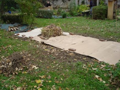 PAILLAGE_CARTON.jpg, oct. 2012