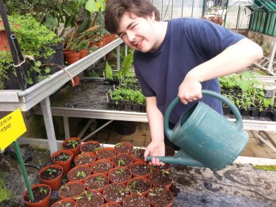 Arrosage_tom.jpg, mar. 2013