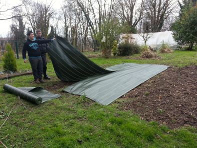 Mise_en_place_d__une_bache_pour_fraisiers1.jpg, mar. 2013