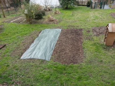 Mise_en_place_d__une_bache_pour_fraisiers2.jpg, mar. 2013