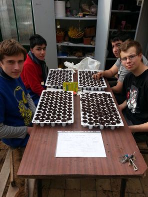 Semis.jpg, mar. 2013