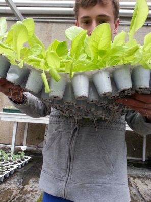 plants2.jpg, mar. 2013