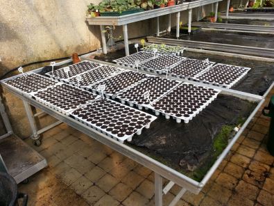 semis2.jpg, mar. 2013