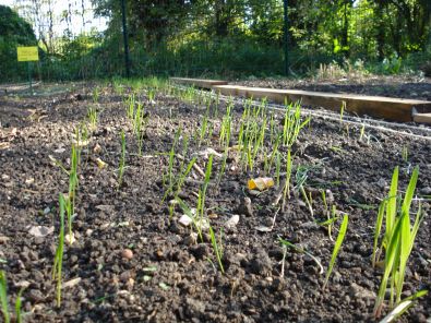 DSC00276.JPG, oct. 2011