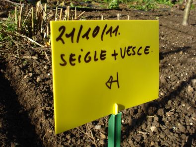 DSC00310.JPG, oct. 2011