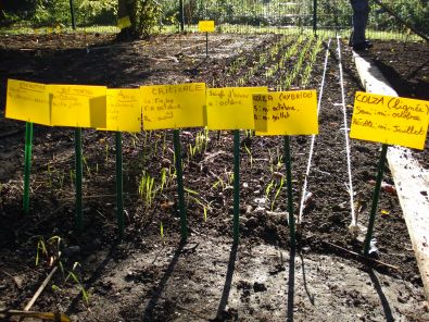 DSC00311.JPG, oct. 2011