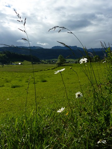 P1040214__Copier_.JPG