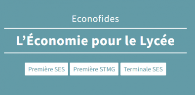 ECONOFIDES SITE.png