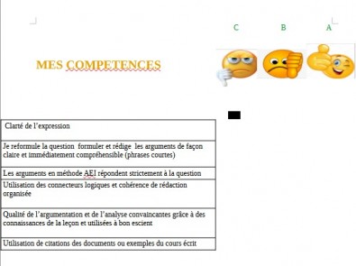 auto evaluation de mes competences.jpg