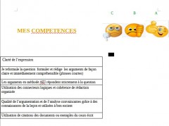 auto evaluation de mes competences.jpg