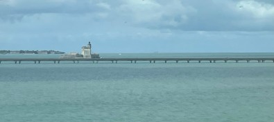 IMG_8343.jpg