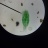 IMG20260413153616.jpg