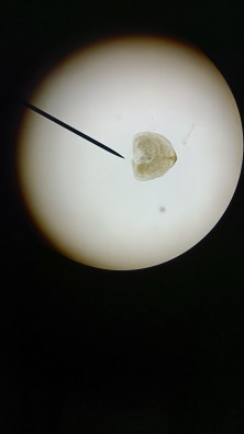 IMG20260413155020.jpg