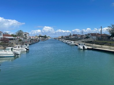 IMG_8477.jpg