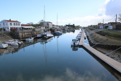 IMG_9815.JPG