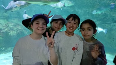 IMG20260415153227.jpg
