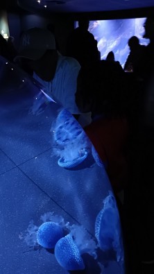IMG20260415155229.jpg