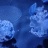 IMG20260415155246.jpg