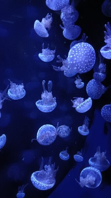 IMG20260415155709.jpg