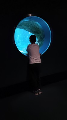 IMG20260415160054.jpg