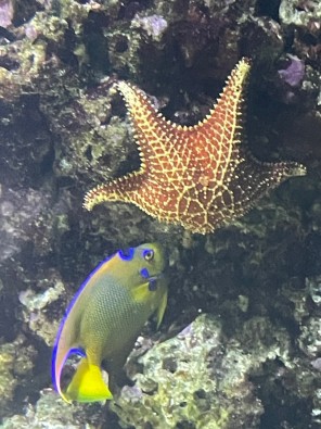 Image00136.jpg