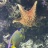 Image00136.jpg