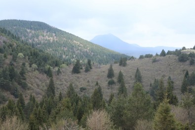 IMG_6426.JPG