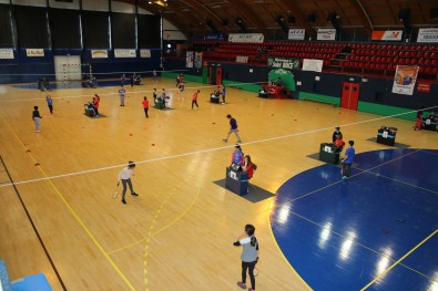 IMG_4529.jpg