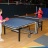 IMG_6683.jpg