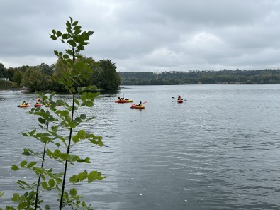 IMG_9470 2.jpg