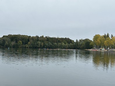 IMG_9639.jpg