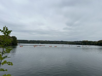 IMG_9641.jpg
