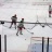 04-Match_Jokers-003.JPG