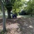 IMG_0110.jpeg